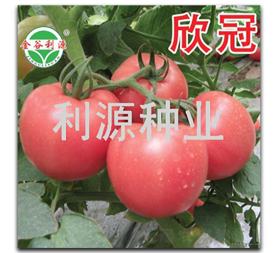 ����-���ѷN��-��Դ�N�I(y��)