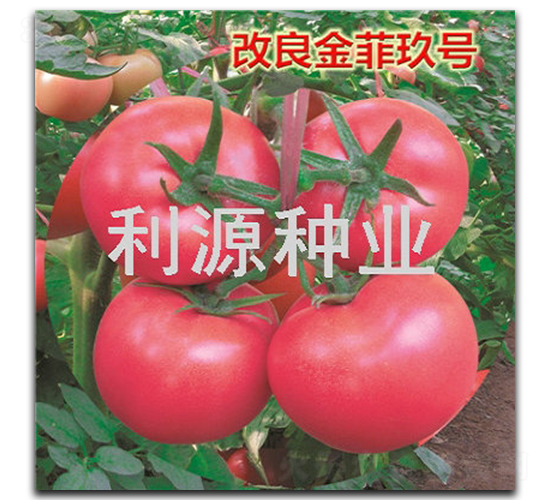 ������ƾ�̖(h��o)-���ѷN��-��Դ�N�I(y��)