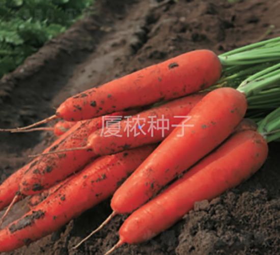 �鸣918-���}���N��-�B���r(n��ng)�I(y��)