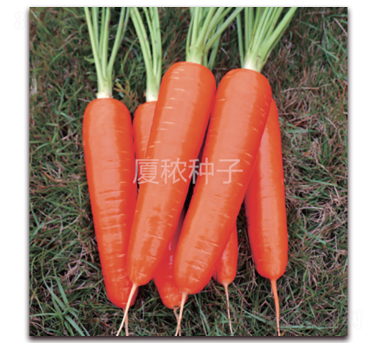 �鸣517-���}���N��-�B���r(n��ng)�I(y��)