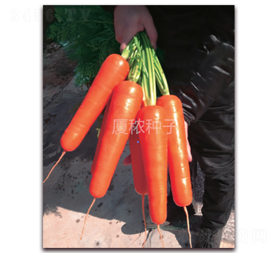 ��d898-���}���N��-�B���r(n��ng)�I(y��)