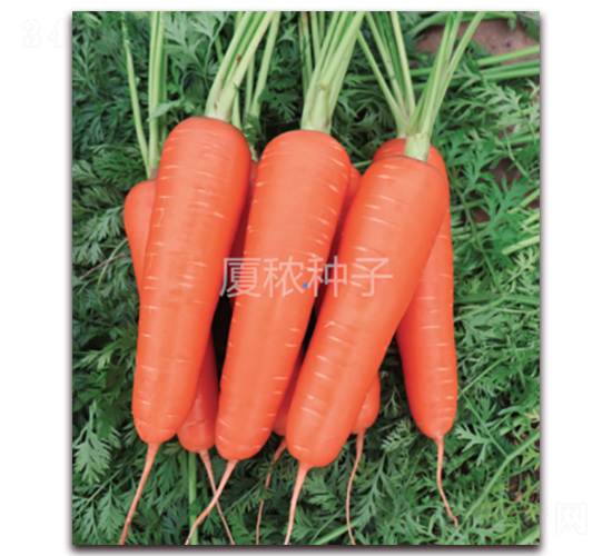 혺�-���}���N��-�B���r�I(y��)