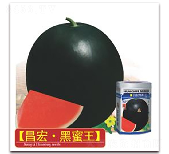 ���������-���ϷN��-�A�r�N�I(y��)