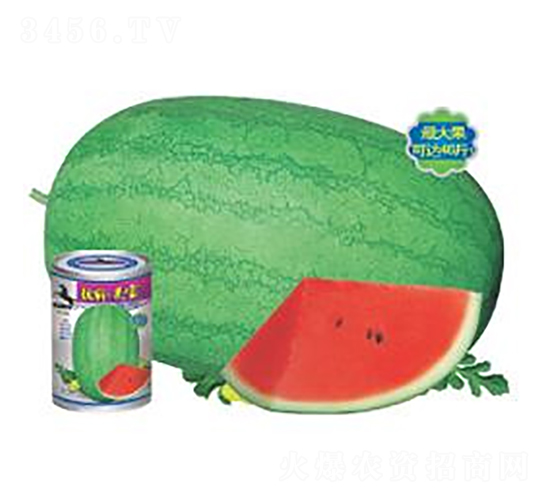 ��������-���ϷN��-�A�r(n��ng)�N�I(y��)