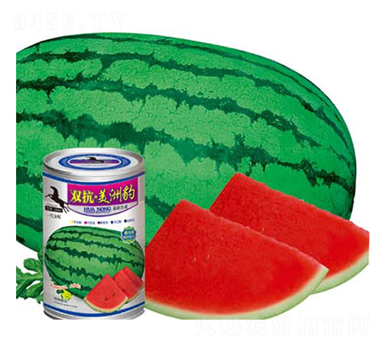 �p�������ޱ�-���ϷN��-�A�r(n��ng)�N�I(y��)