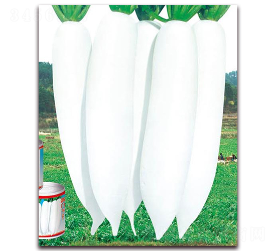 �°����}��-���}���N��-�A�r(n��ng)�N�I(y��)