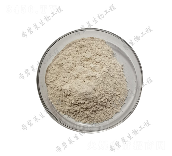 �޴�ѿ�ߗU��-ϣ���R����