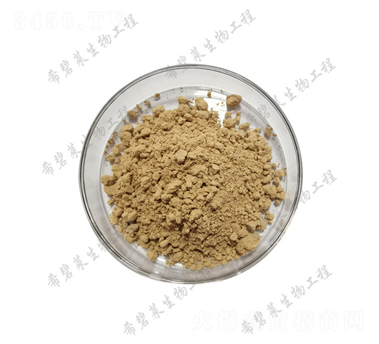 �ݲ�ѿ�ߗU��-ϣ���R����