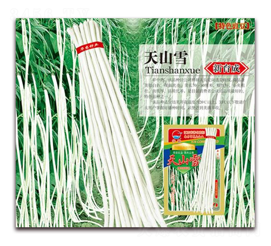 ��ɽѩ-�����N��-�A�r(n��ng)�N�I(y��)