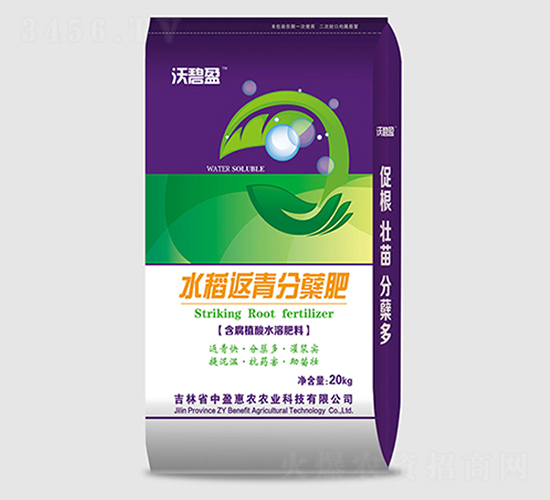 ˮ��������Y��-�ֱ�ӯ-��ӯ���r(n��ng)