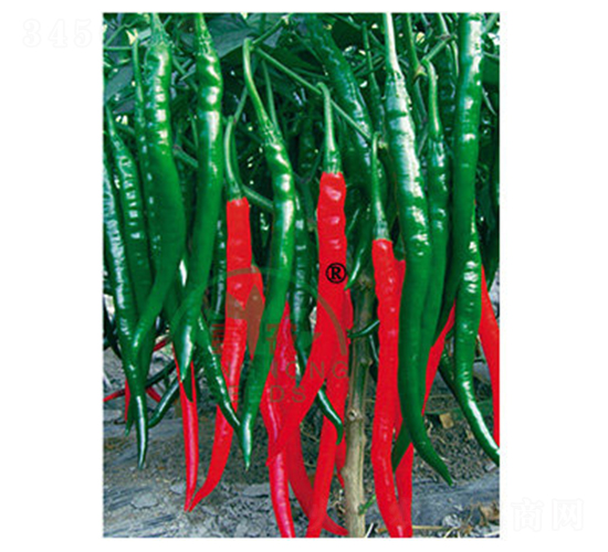 ����88-�����N��-���r(n��ng)