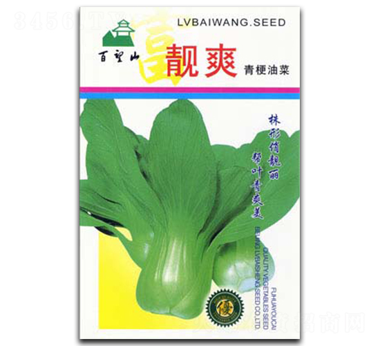 �nˬ-��˷N��-�G����