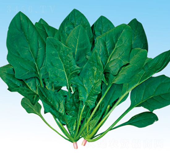 �ձ�������~����-���˷N��-�G����