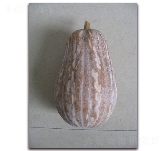 �翹958-�ϹϷN��-���y�ϲ�