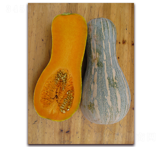 ���S��-�ϹϷN��-���y�ϲ�