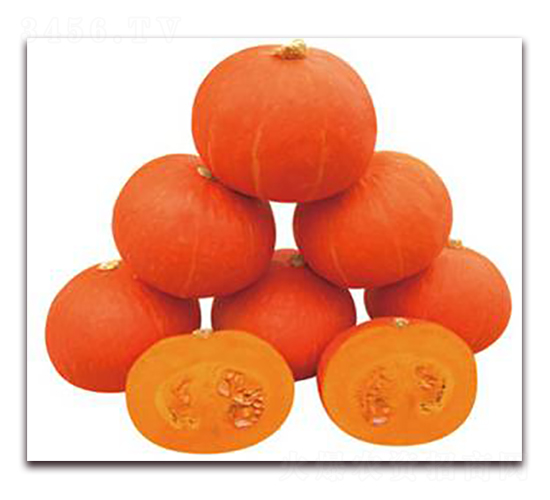 ����-�ϹϷN��-���y�ϲ�