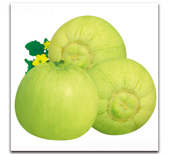 ���ی�-��ϷN��-���y�ϲ�