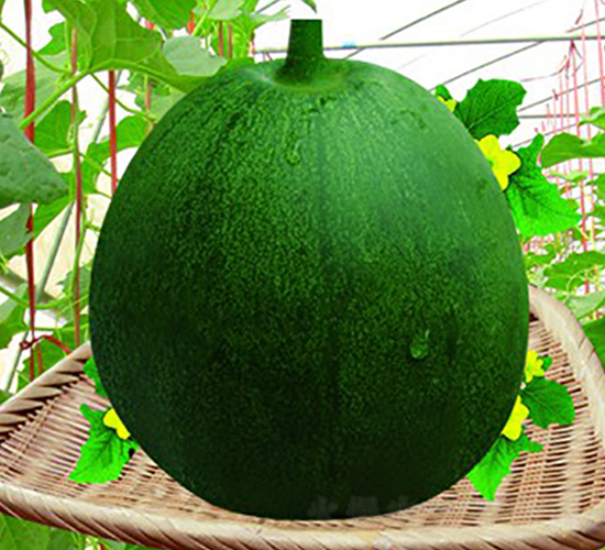 �G����-��ϷN��-���y�ϲ�