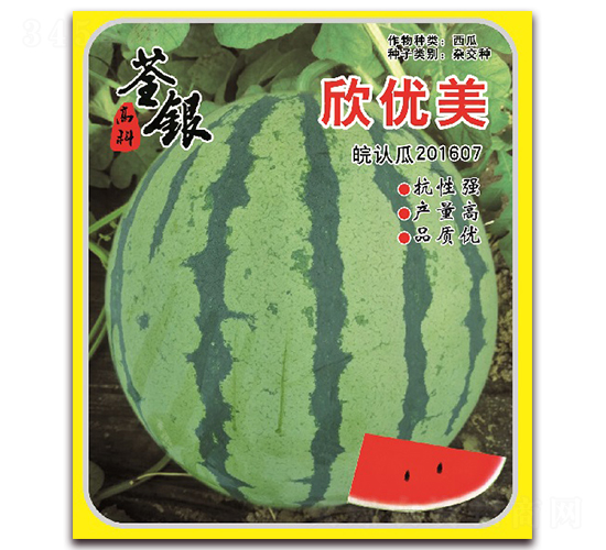 ����(y��u)��-���ϷN��-���y�ϲ�