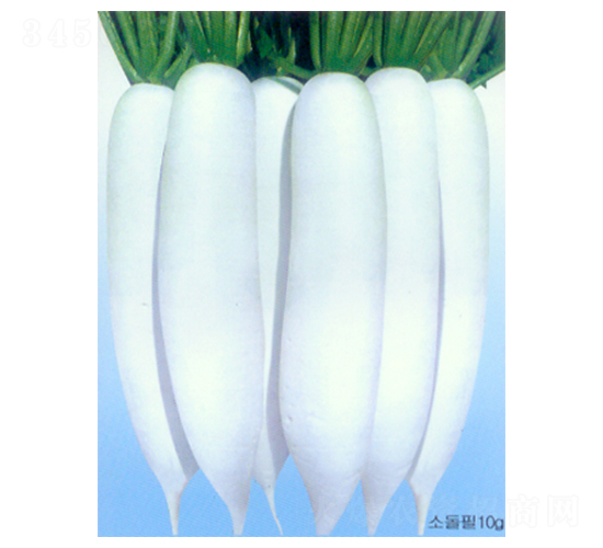 �h�ǰ���-���}���N��-������