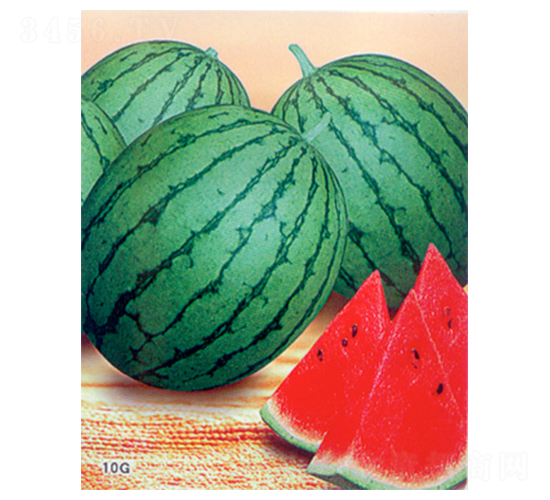 ��С��-���ϷN��-������