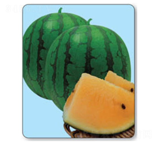 �ی�-���ϷN��-������