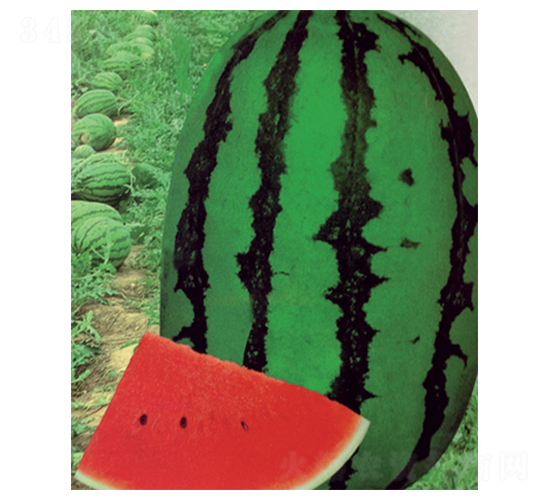 �Нh��-���ϷN��-������