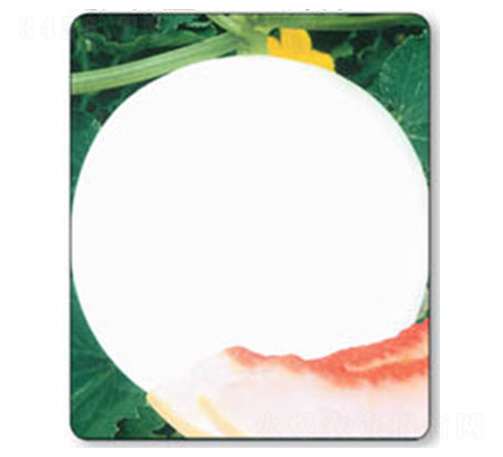 �F��-��ϷN��-������