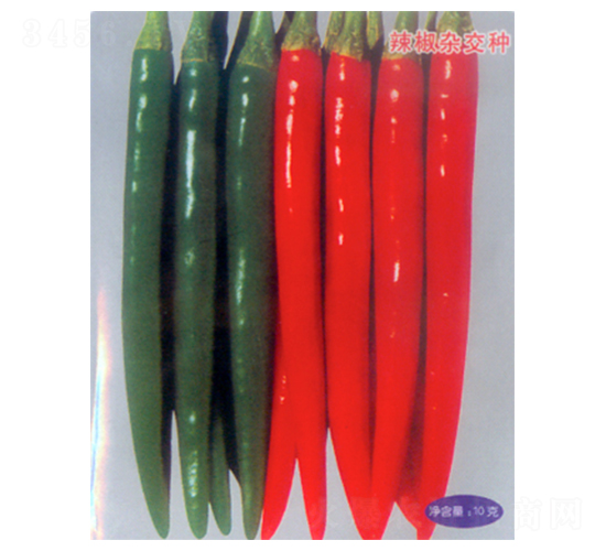 ���S918-�����N��-������