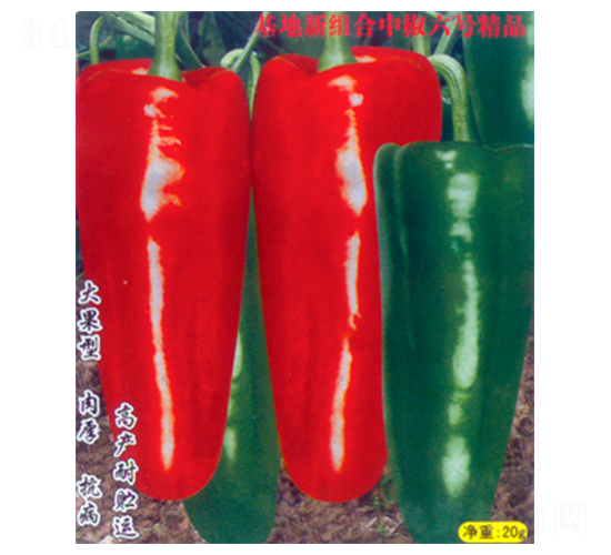 �����r(n��ng)�؃�(y��u)-6-�����N��-������