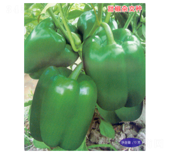 �пƽ�105-�����N��-������