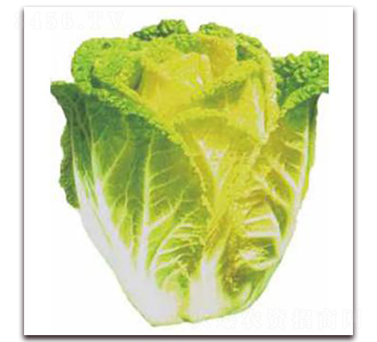 �Sѿ14-�ײ˷N��-�����r(n��ng)