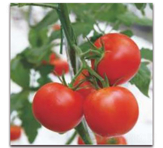 �X������-���ѷN��-�����r(n��ng)