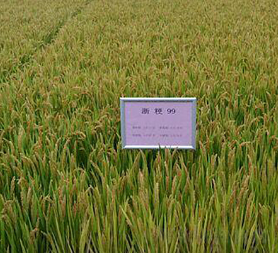 �㾬99-ˮ���N��-�����r(n��ng)