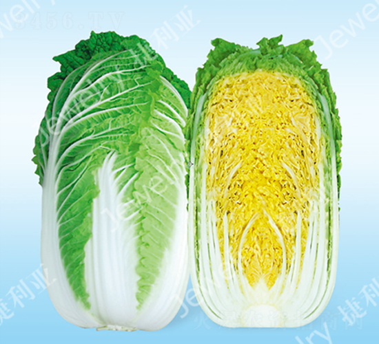 ����-�ײ˷N��-������