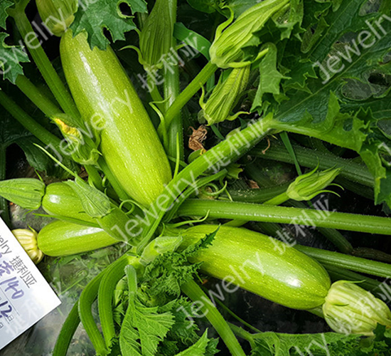 �G��140-�����J�N��-������