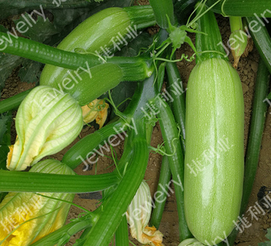 ����824-�����J�N��-������