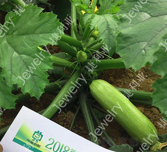 ����216-�����J�N��-������