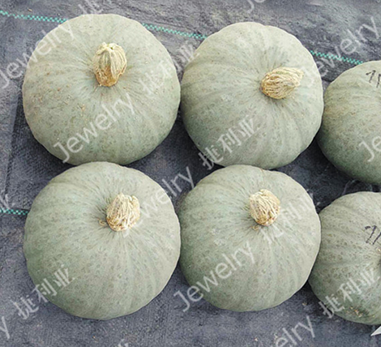 ����161-�ϹϷN��-������