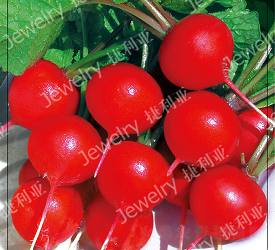 ����(y��u)4̖(h��o)-�����}���N��-������