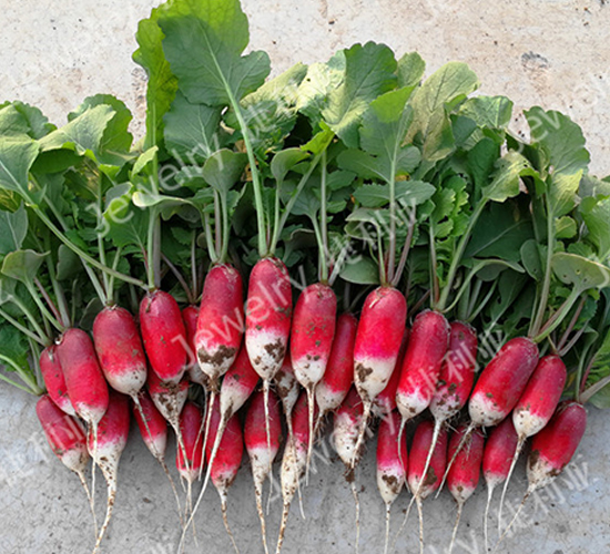 ����(y��u)114-�����}���N��-������