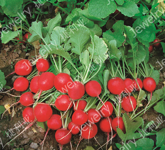 ����(y��u)2̖-�����}���N��-������