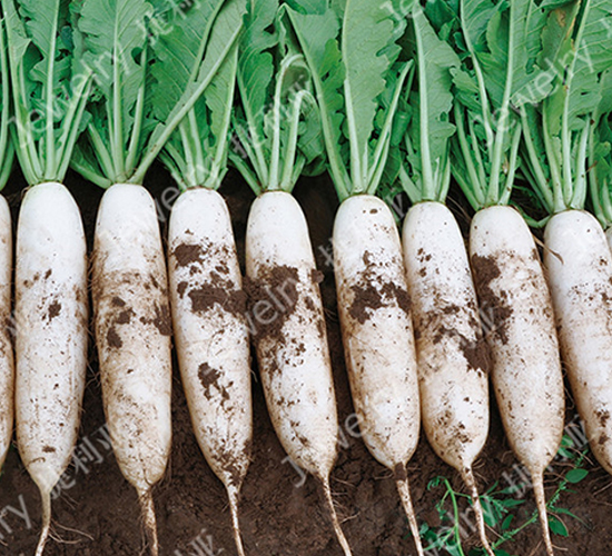 ������-�}���N��-������