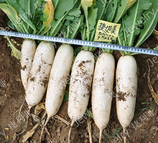 ������-�}���N��-������