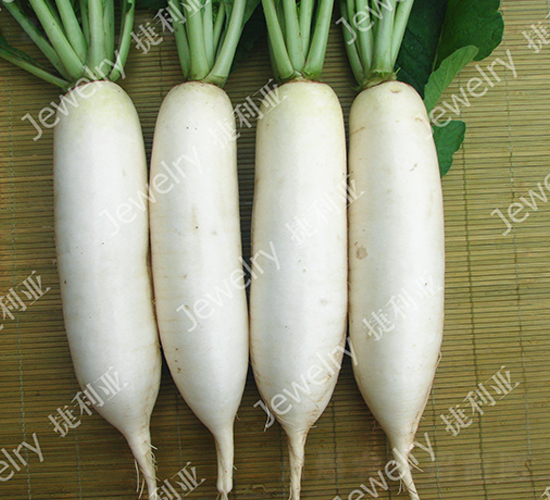 CR������-�}���N��-������