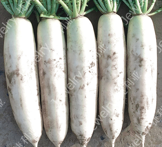 ����1415-�}���N��-������