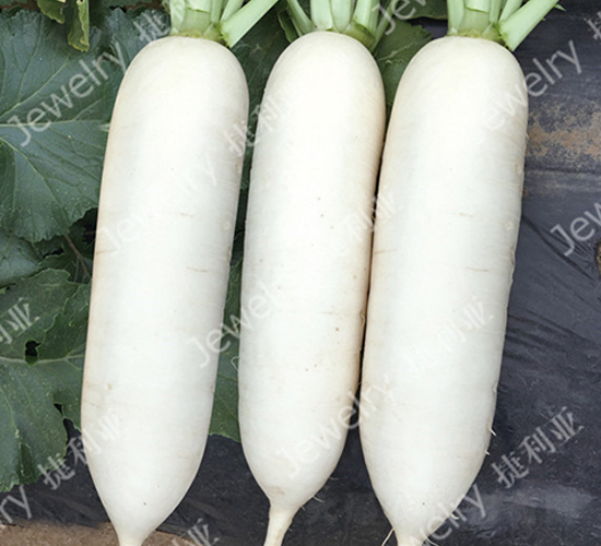 ������158-�}���N��-������