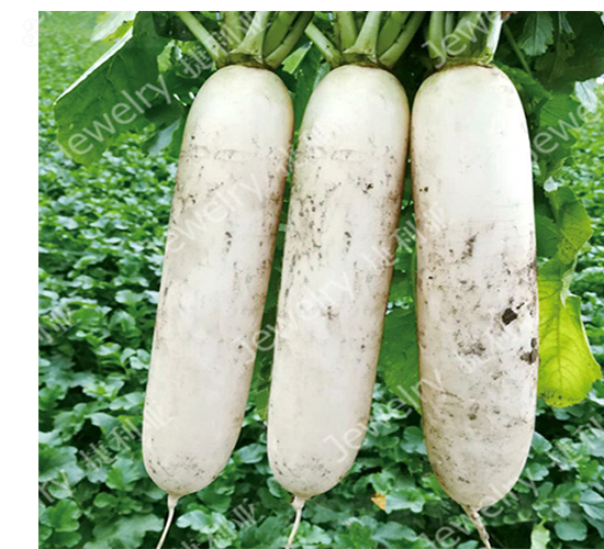 ������159-�}���N��-������