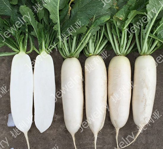 ������45-�}���N��-������