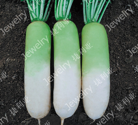 ��G1442-�}���N��-������